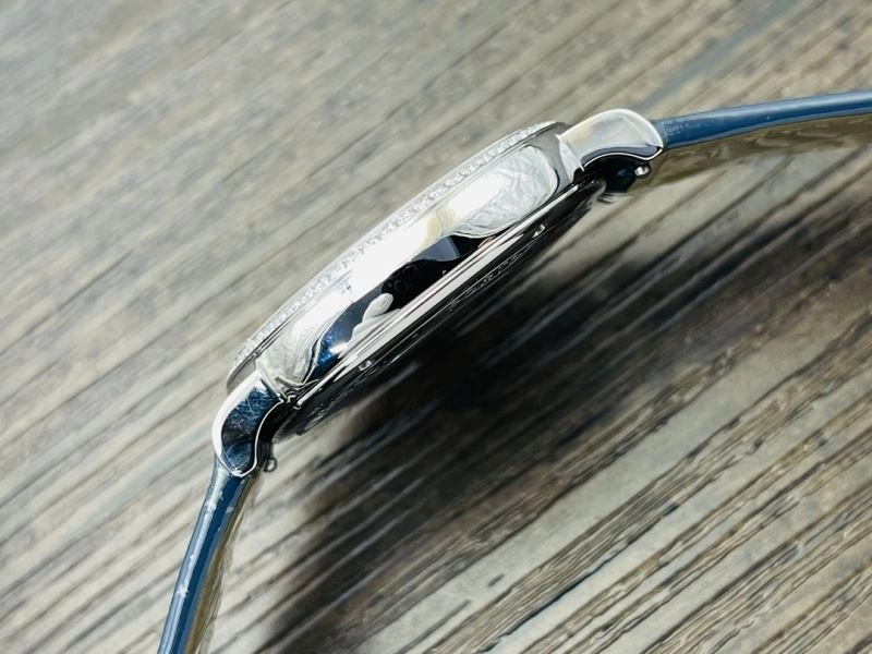 IWC Watches Flexible 184645