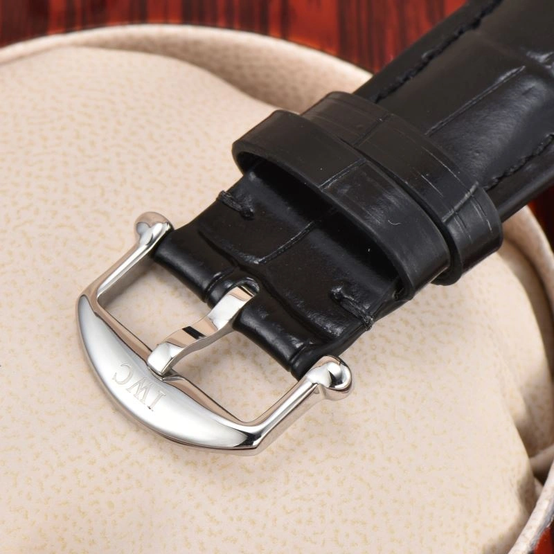 Seasonal IWC Watches 184611