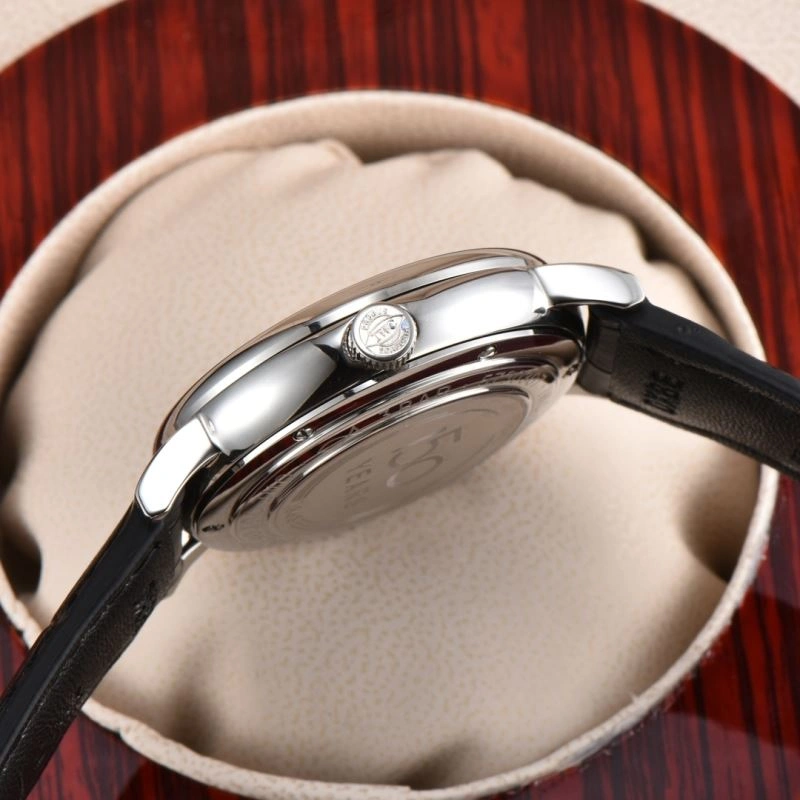 IWC Watches Classic 184598