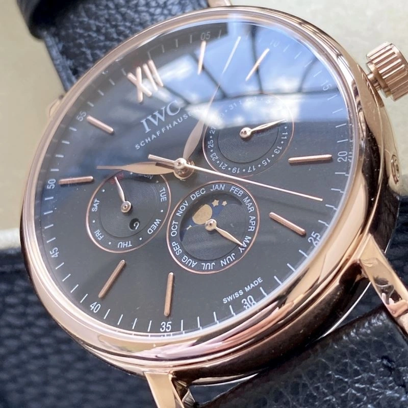 IWC Watches Sleek 184591