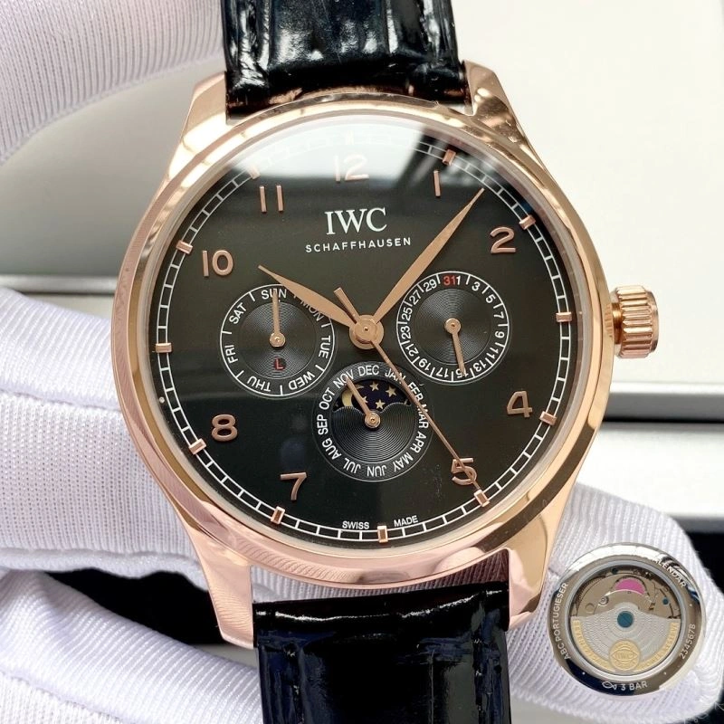 IWC Watches Casual 184528