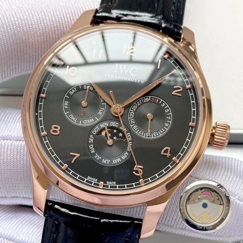 IWC Watches Casual 184528