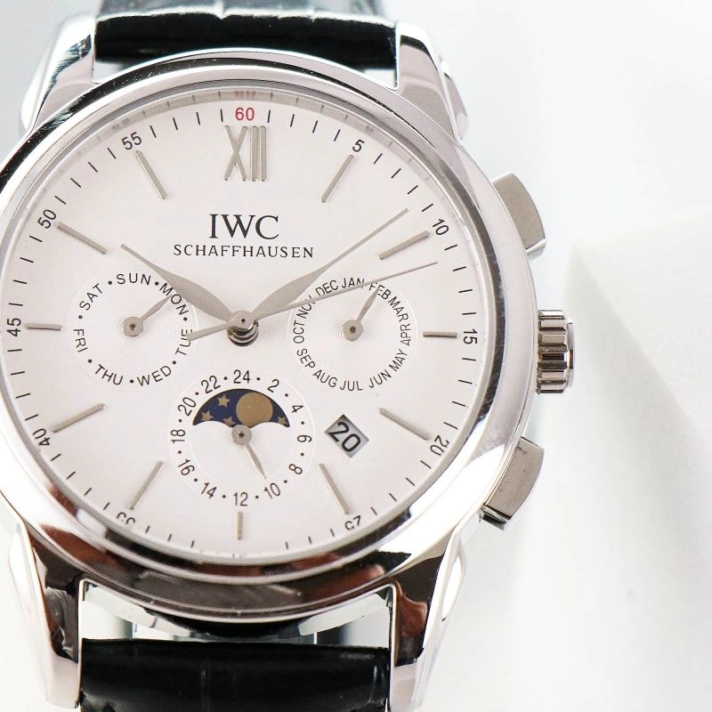 IWC Watches Versatile 184529