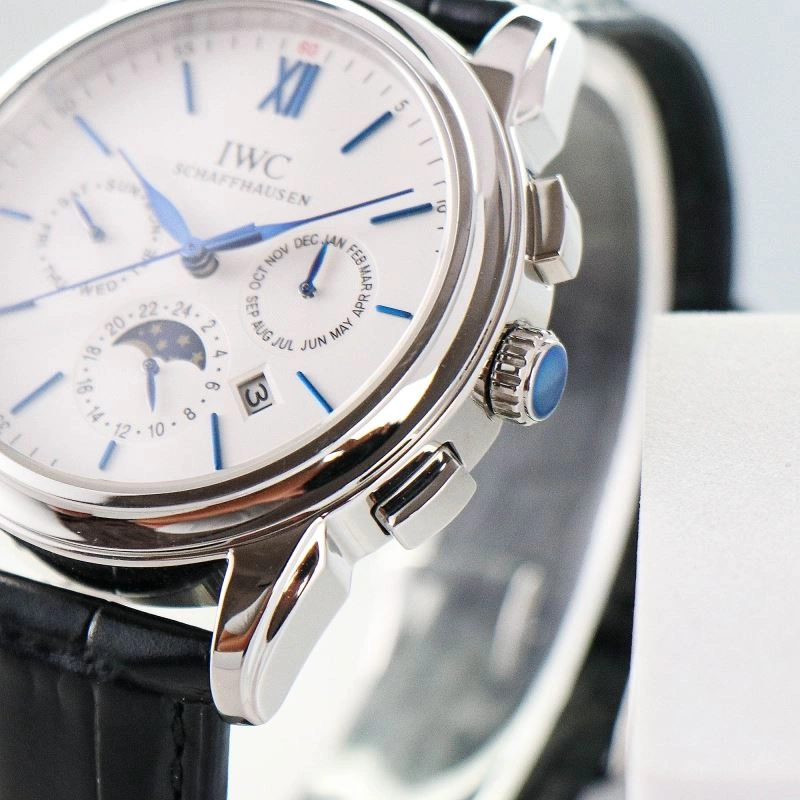 IWC Watches Versatile 184529