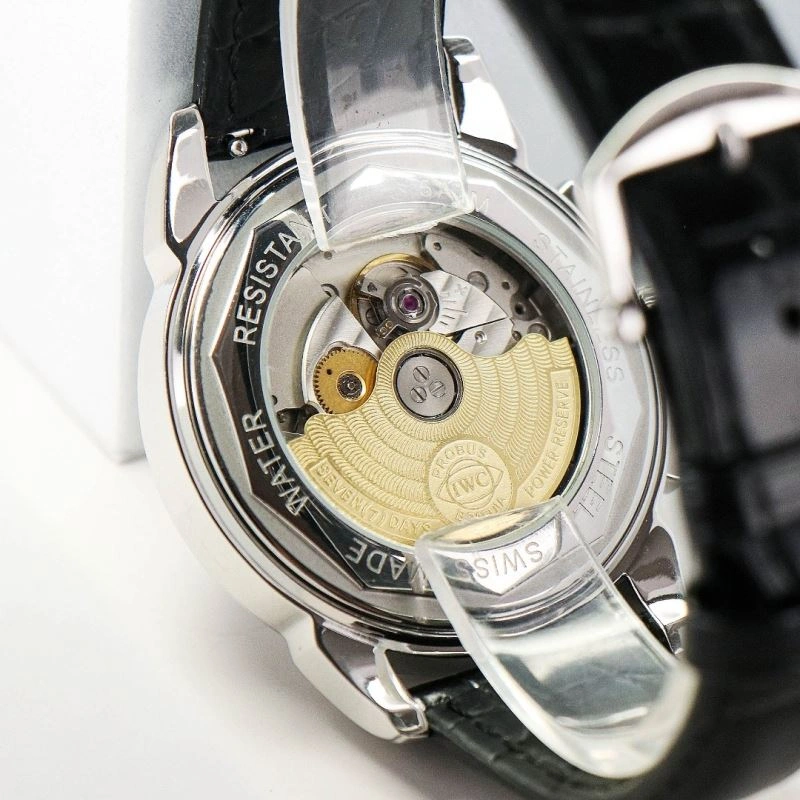 IWC Watches Versatile 184529
