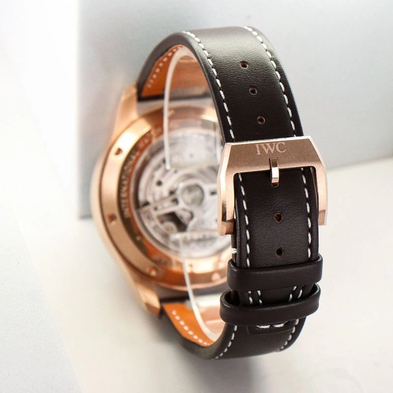IWC Watches Flexible 184527