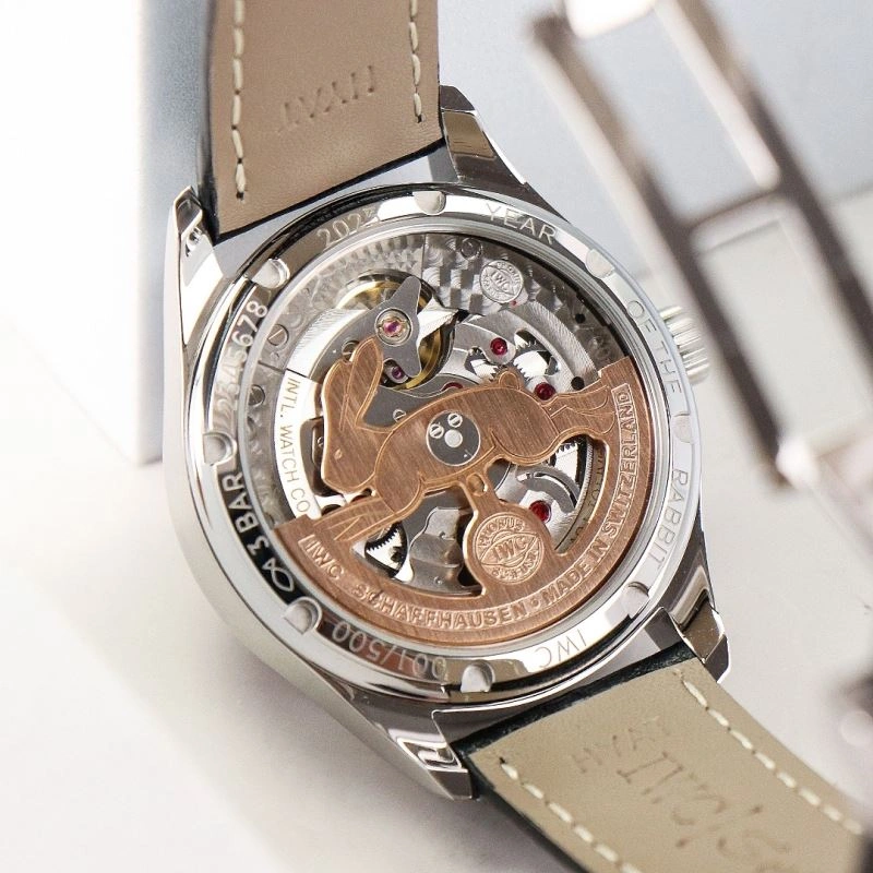 IWC Watches Effortless 184508