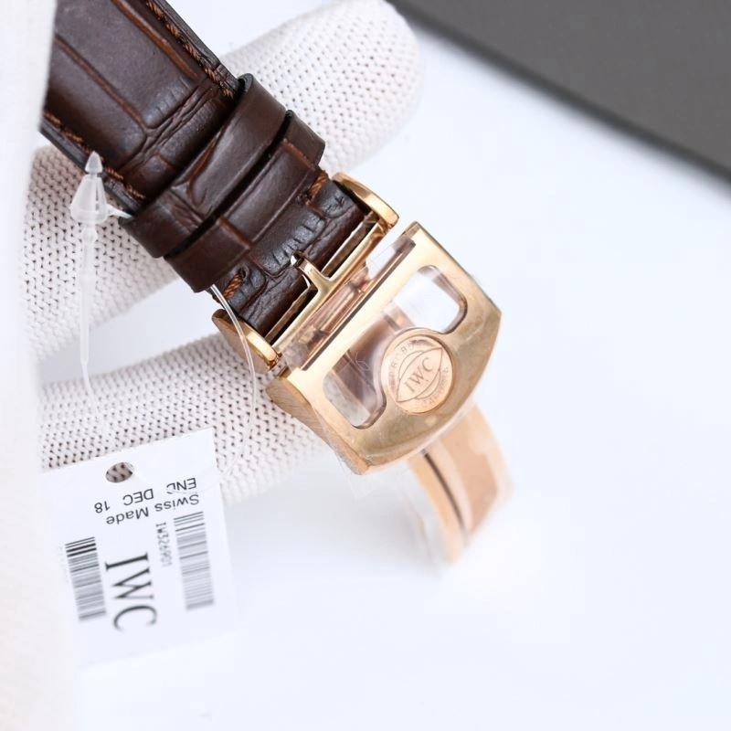 IWC Watches WrinkleFree 184994