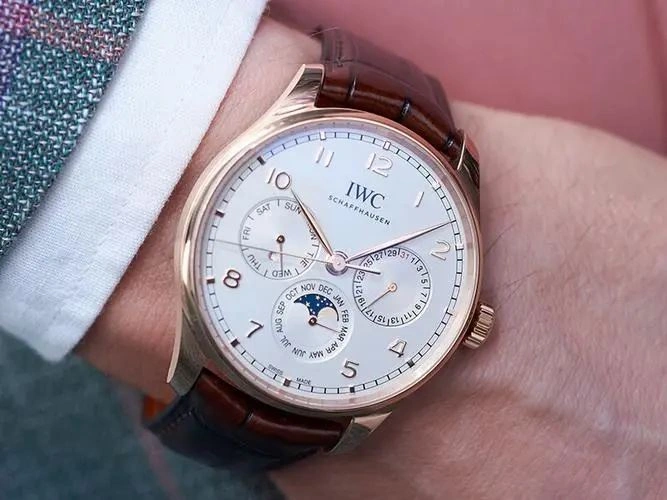 IWC Watches Sophisticated 184986