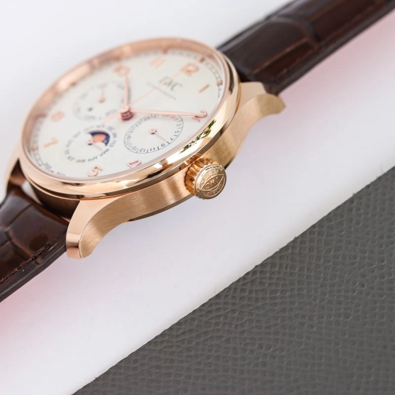 IWC Watches Sophisticated 184986