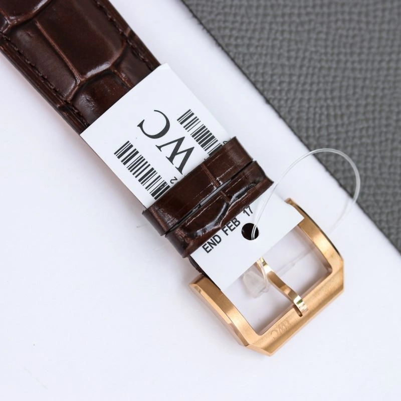 IWC Watches Sophisticated 184986