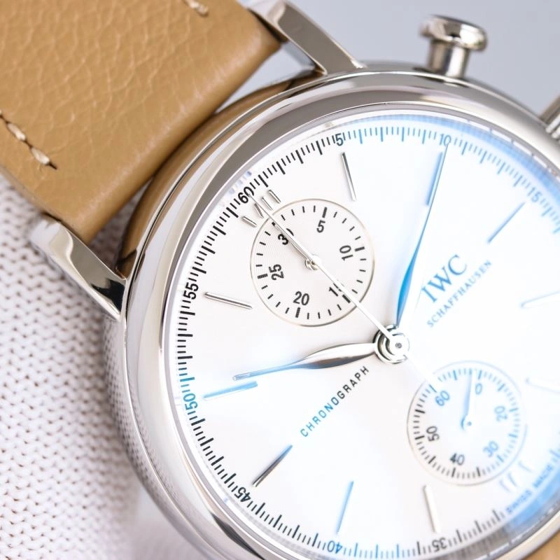 Flexible IWC Watches 184972