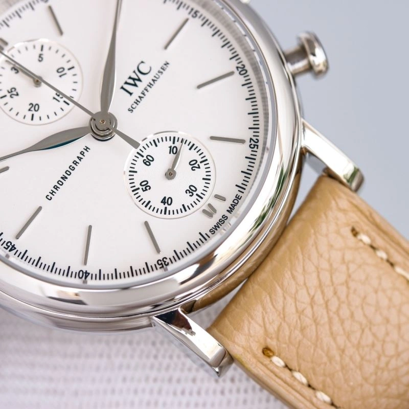 Flexible IWC Watches 184972