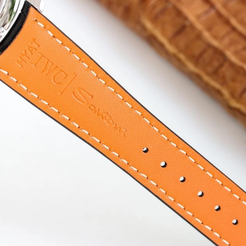 Sleek IWC Watches 184974