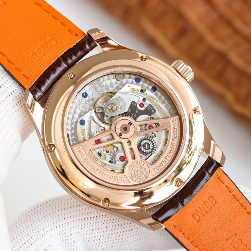 Compact IWC Watches 184982