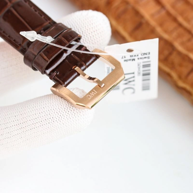 Compact IWC Watches 184982