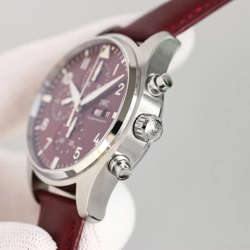 IWC Watches Sleek 184963