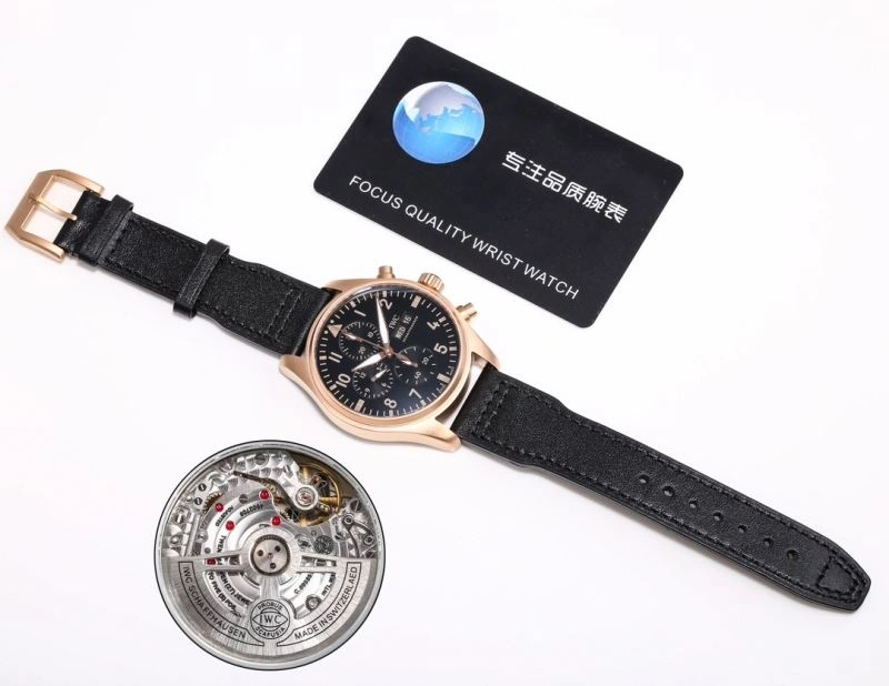 IWC Watches FreshLook 184964