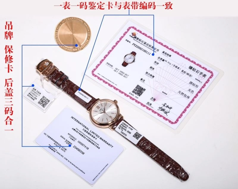 IWC Watches TimelessDesign 184952