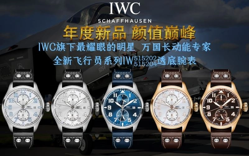 IWC Watches EasyMatch 184896