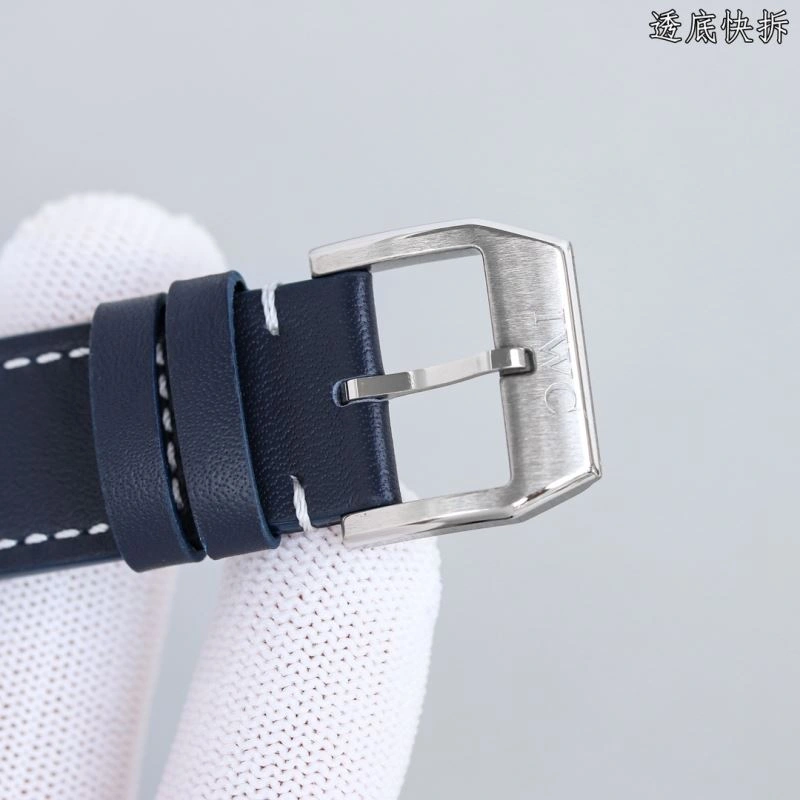 Versatile IWC Watches 184887