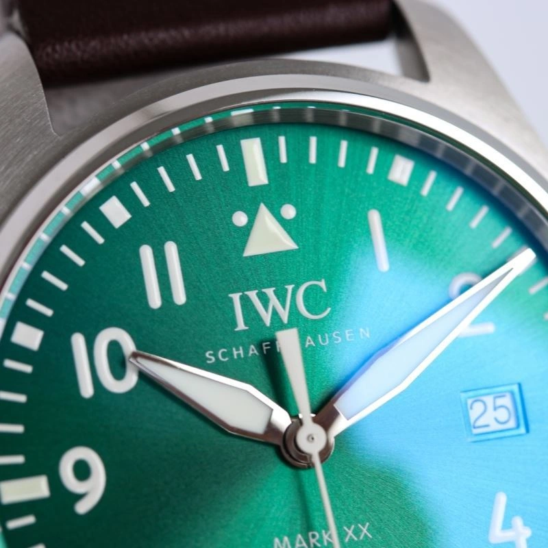 IWC Watches Versatile 184866