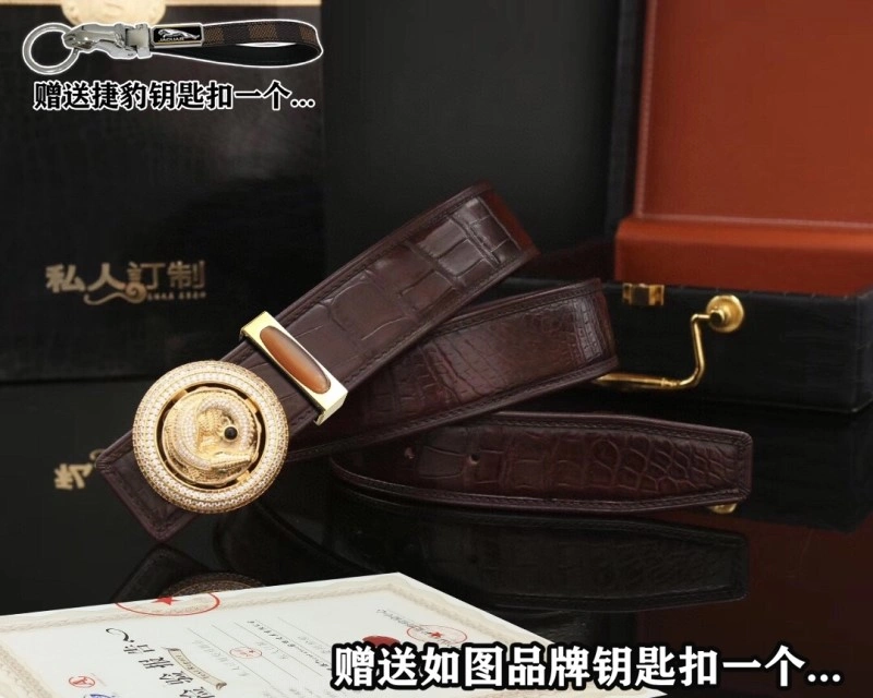 Jaguar Belts Upgraded 296711
