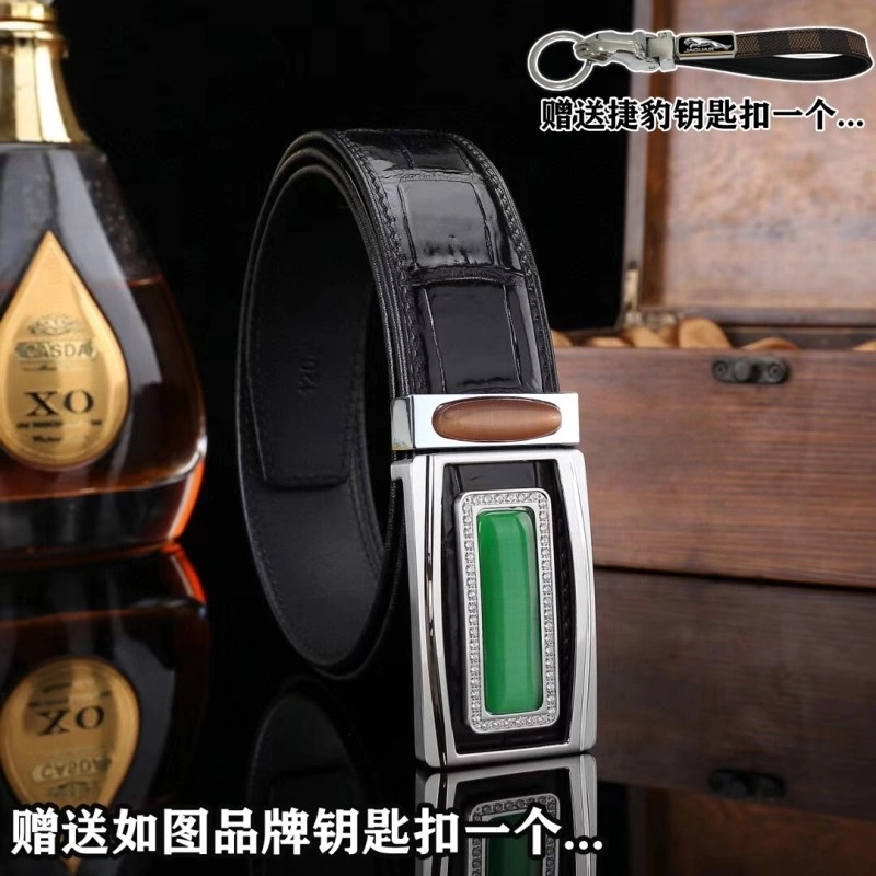 ModernLook Jaguar Belts 296682