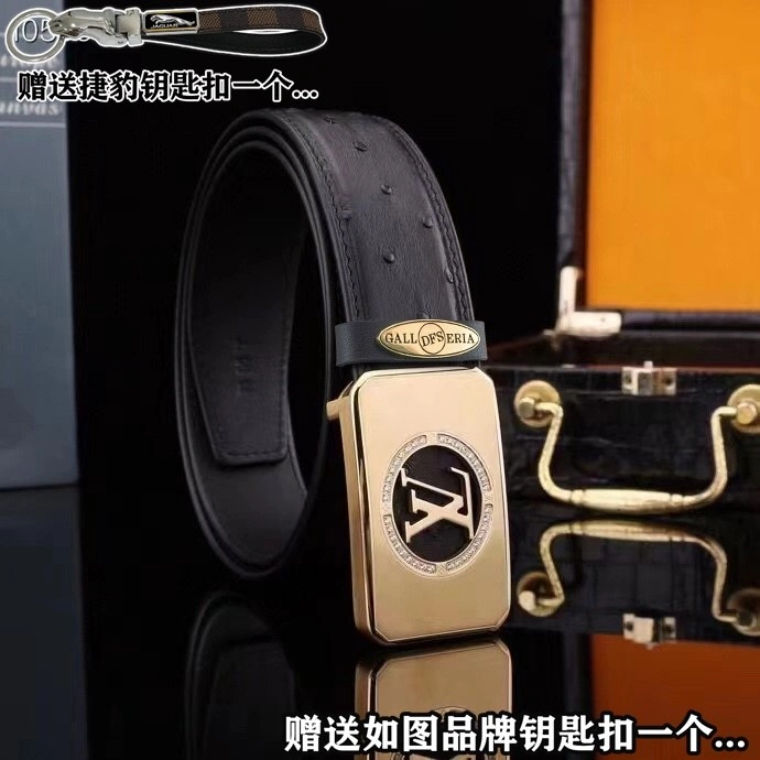Jaguar Belts Practical 296670