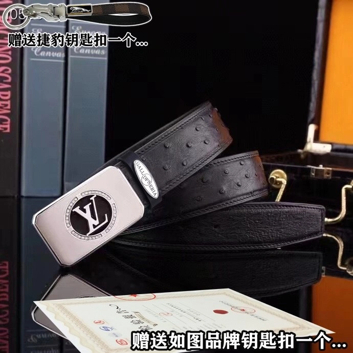 Jaguar Belts Practical 296670