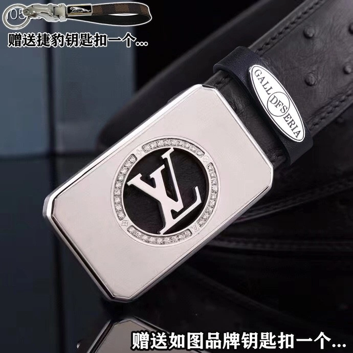 Jaguar Belts Practical 296670