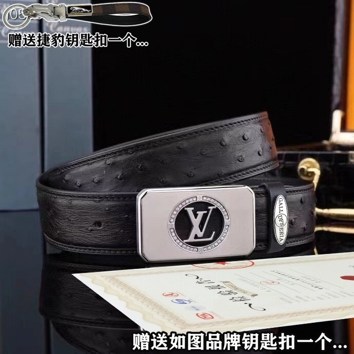 Jaguar Belts Practical 296670