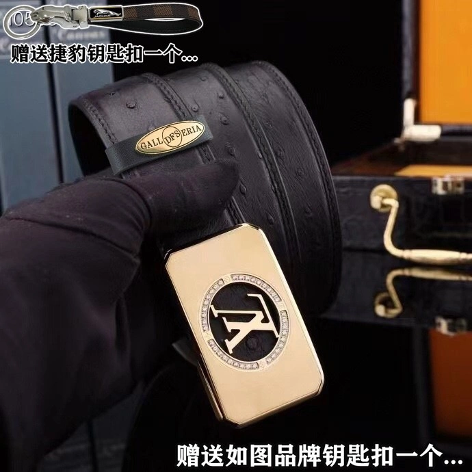 Jaguar Belts Practical 296670