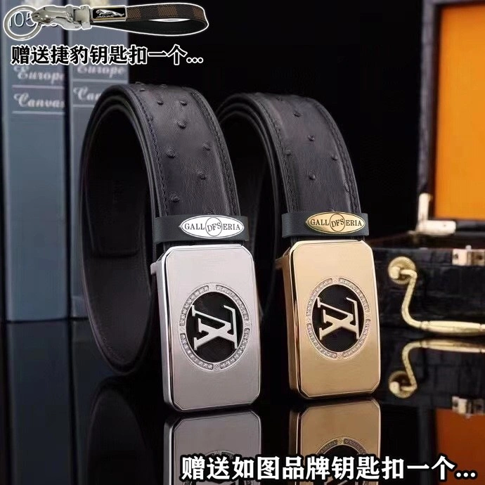 Jaguar Belts Practical 296670