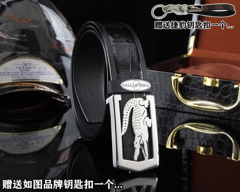 Jaguar Belts Resilient 296668