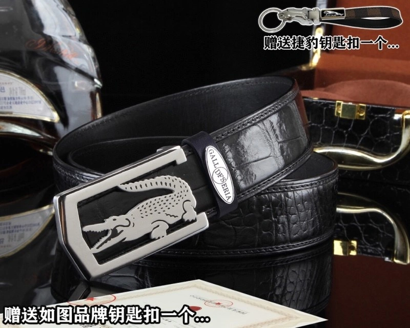 Jaguar Belts Resilient 296668