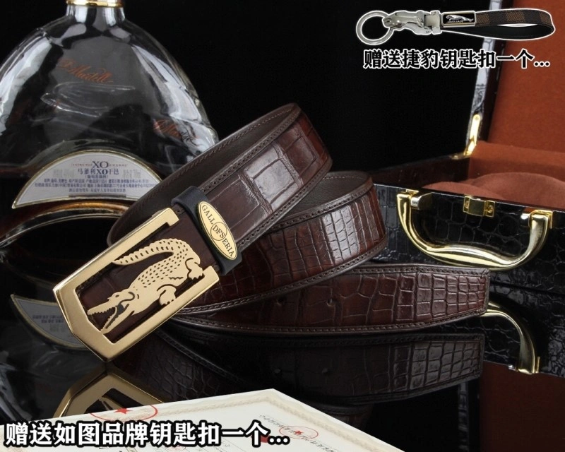 Jaguar Belts Resilient 296668