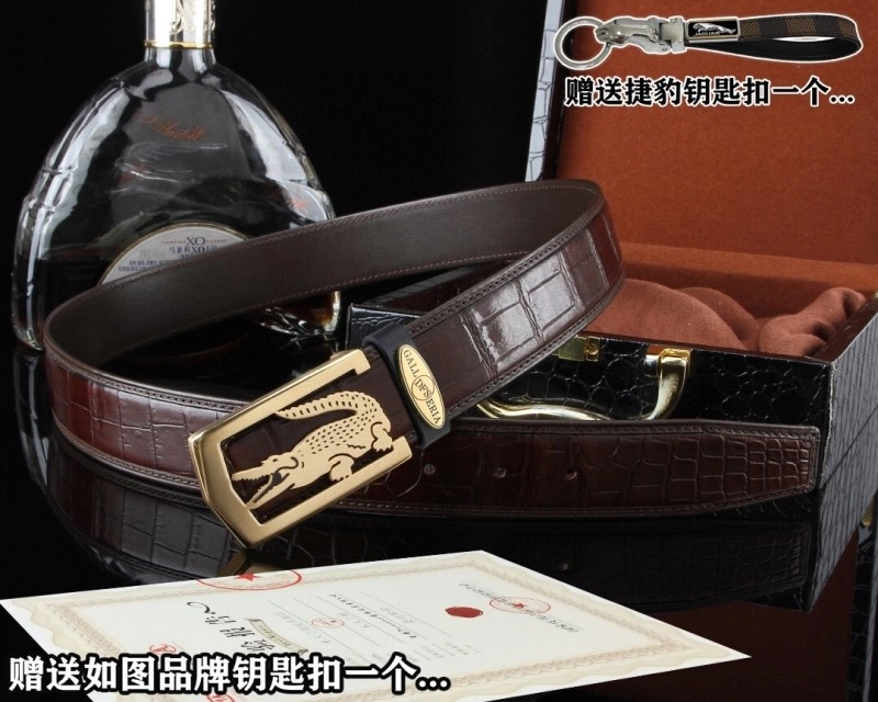Jaguar Belts Resilient 296668