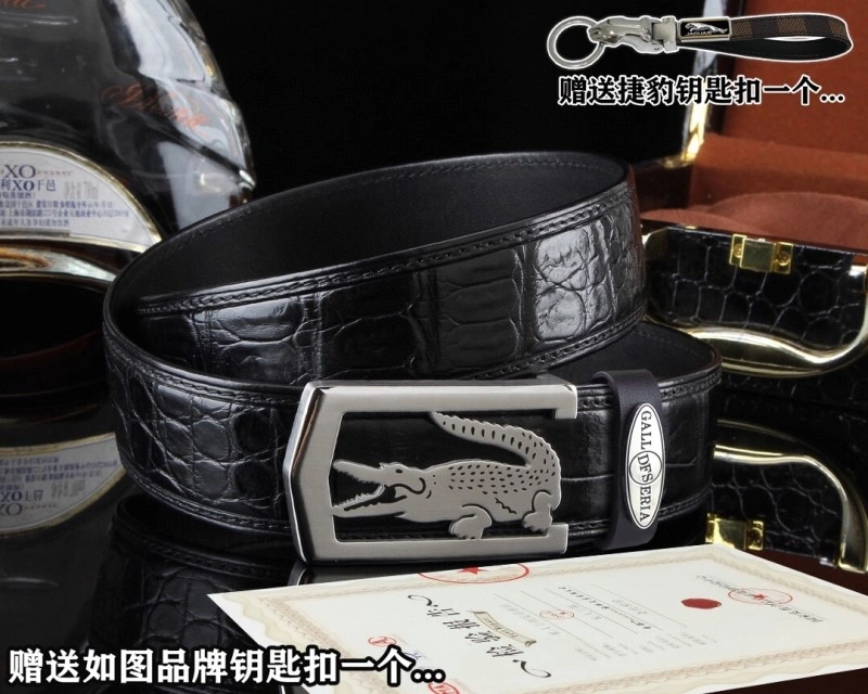 Jaguar Belts Resilient 296668