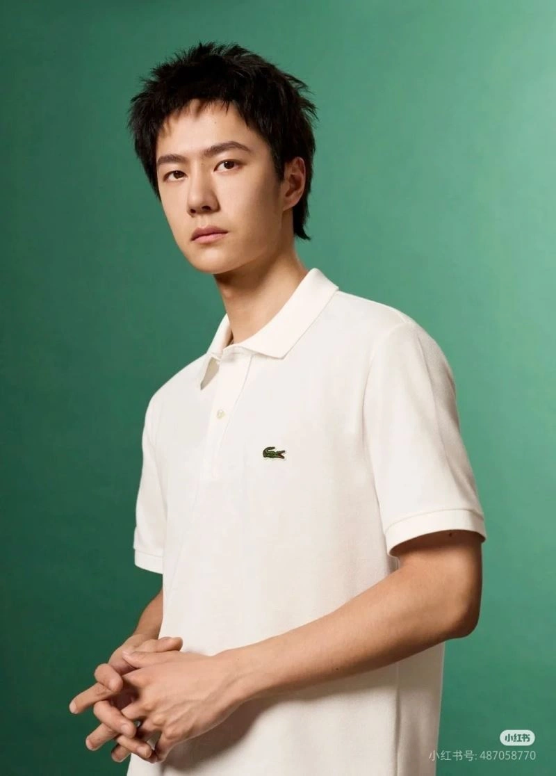 TimelessDesign Lacoste T-Shirts 162757
