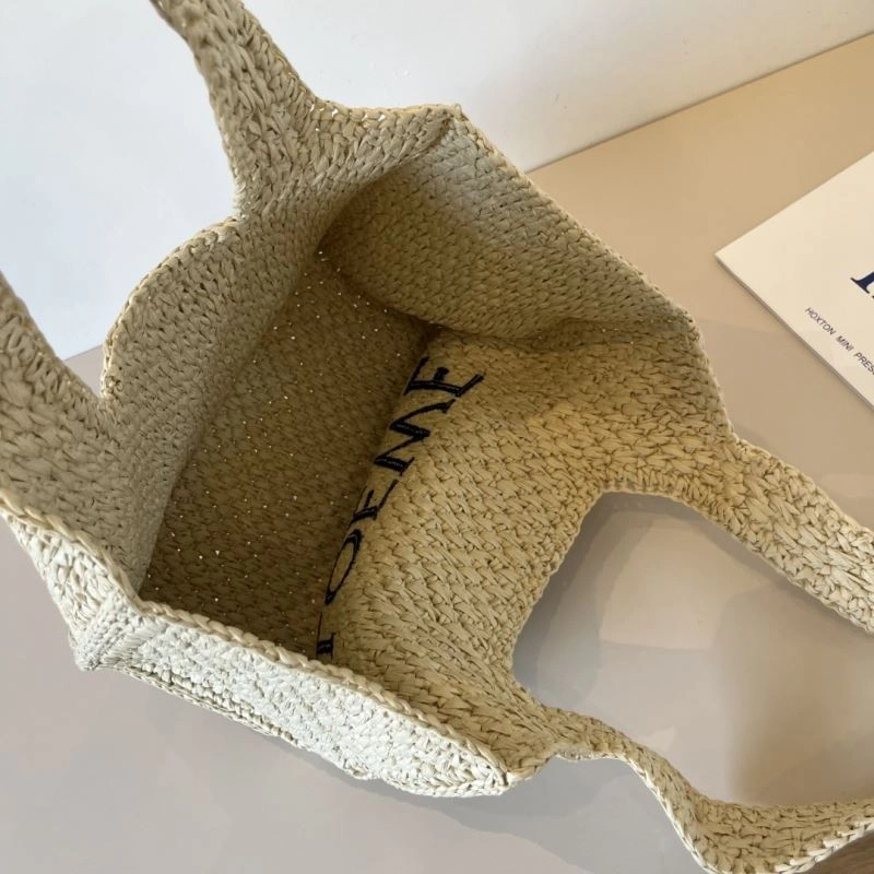 Loewe Bags DailyWear 255666