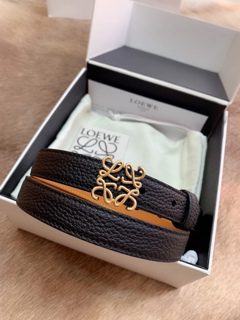 Colorful Loewe Belts 296770