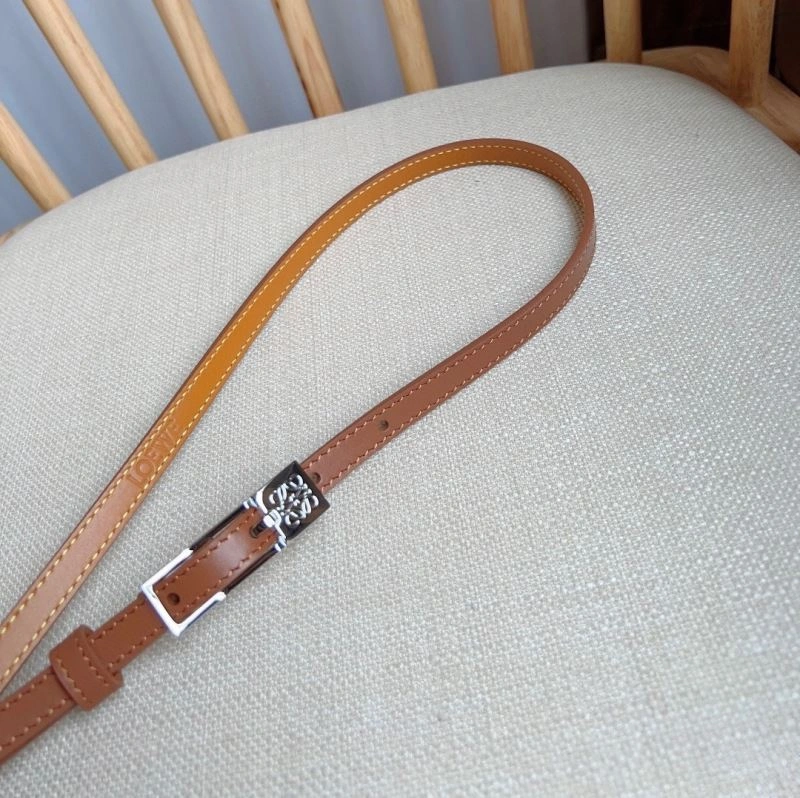Sporty Loewe Belts 297038