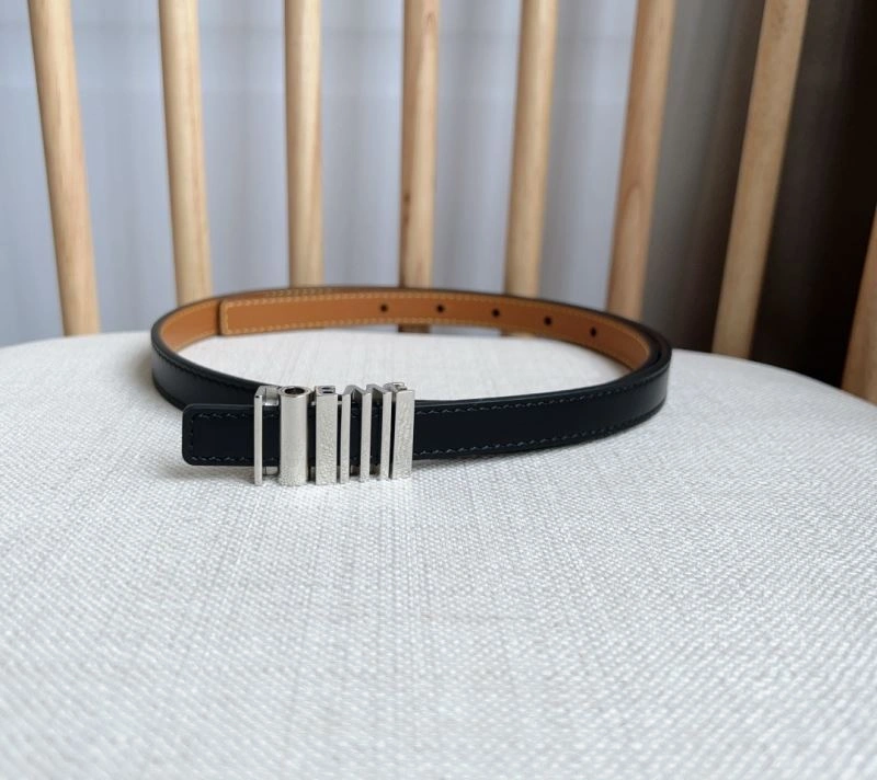 Colorful Loewe Belts 296986