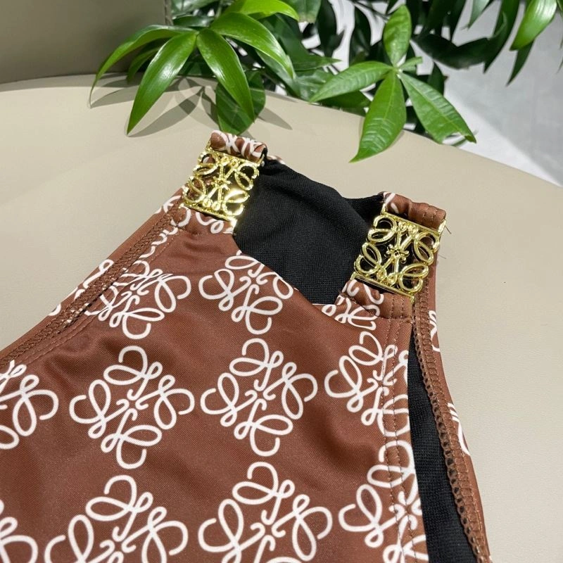 Loewe Bikins Fashionable 255789