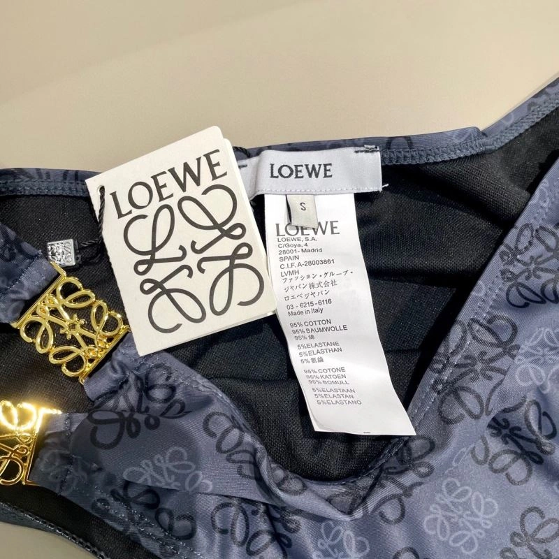 Fashionable Loewe Bikins 255787