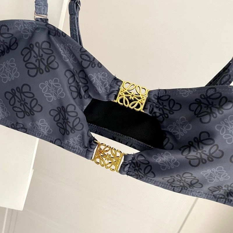 Fashionable Loewe Bikins 255787