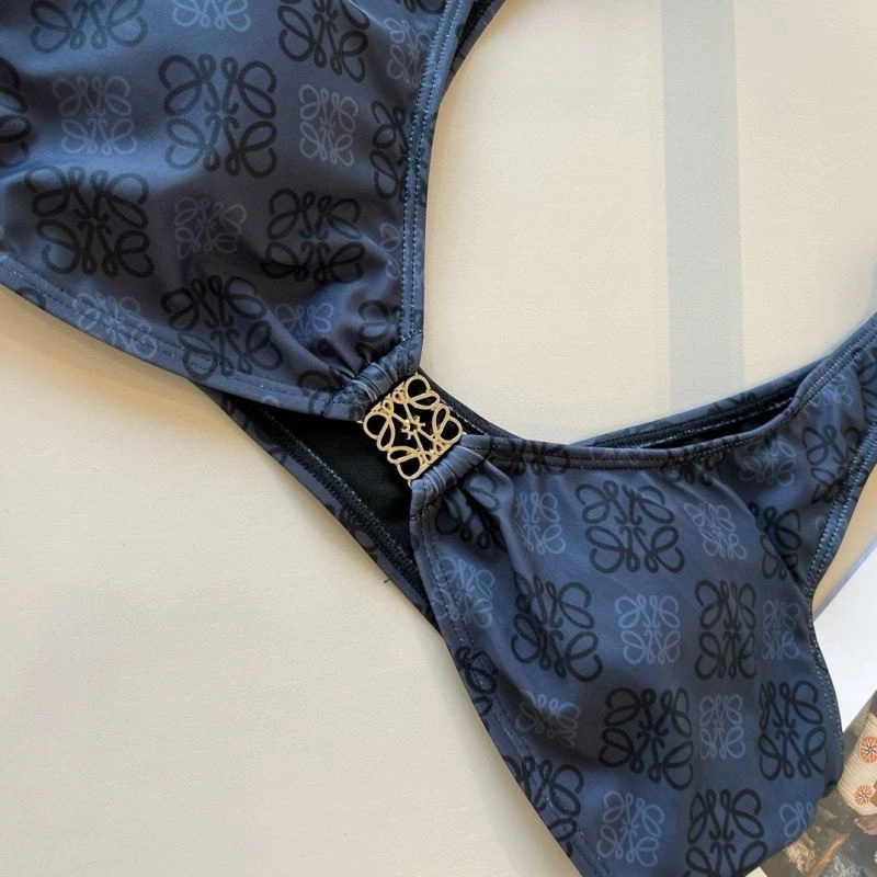 Trendy Loewe Bikins 256234