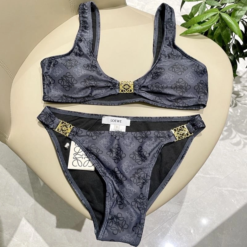 WrinkleFree Loewe Bikins 256486