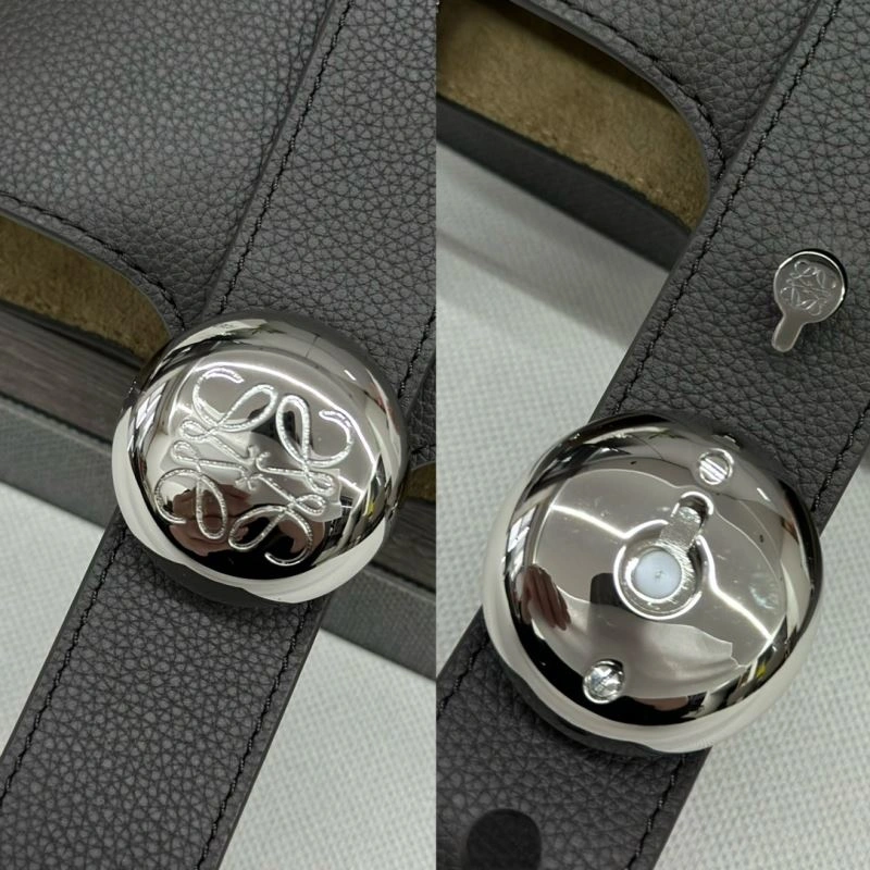 QuickDry Loewe Bucket Bags 73407